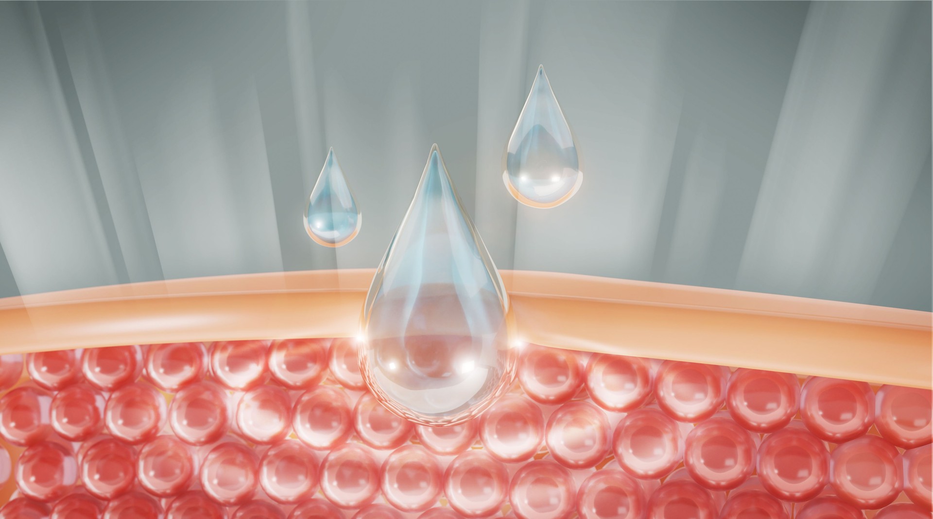 Water and vitamin drop on skin cell. reduce up saggy skin of the skin cell.